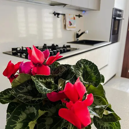 90035 Sabedda Venezia * 산타 마리아 디 살라